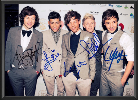 One Direction - Signed Music Print